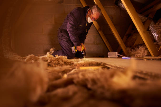 Best Insulation Installation Services in Prichard, AL